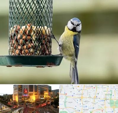 فروشگاه غذای پرندگان در جنت آباد تهران