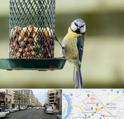 فروشگاه غذای پرندگان در زیتون کارمندی اهواز