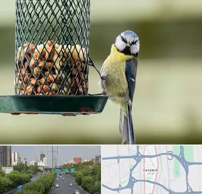 فروشگاه غذای پرندگان در توانیر