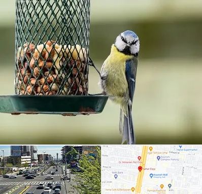 فروشگاه غذای پرندگان در ستاری