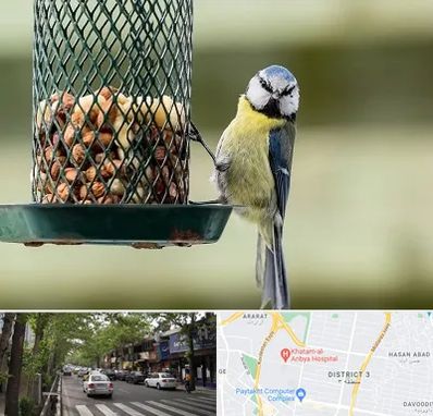 فروشگاه غذای پرندگان در ظفر