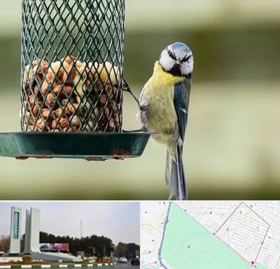 فروشگاه غذای پرندگان در بلوار فلسیطین مشهد