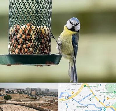 فروشگاه غذای پرندگان در کوی وحدت شیراز