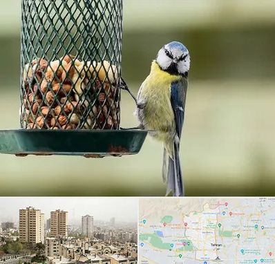 فروشگاه غذای پرندگان در منطقه 5 تهران
