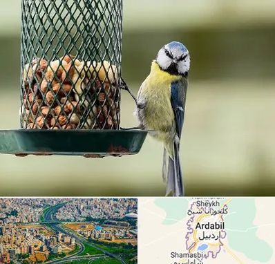 فروشگاه غذای پرندگان در اردبیل