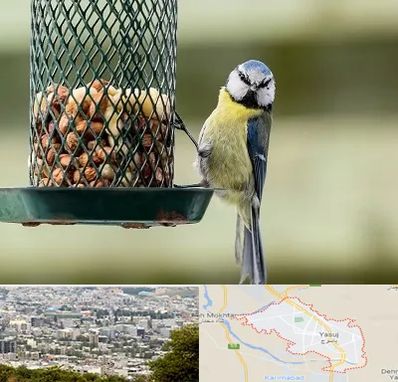 فروشگاه غذای پرندگان در یاسوج