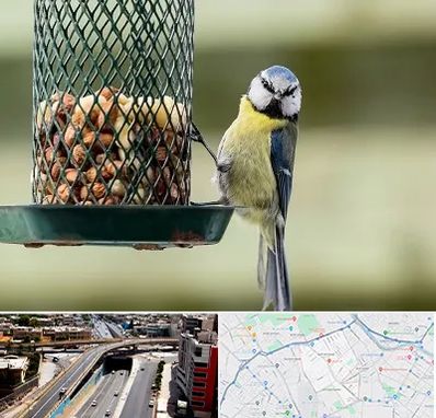 فروشگاه غذای پرندگان در ستارخان شیراز