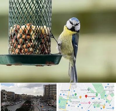 فروشگاه غذای پرندگان در بلوار فردوسی مشهد