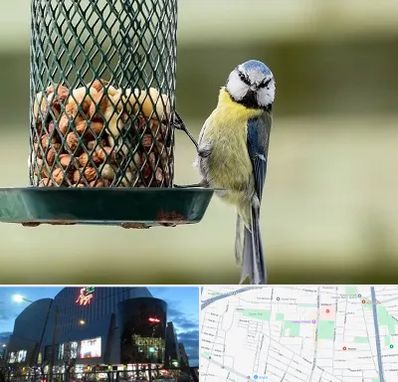 فروشگاه غذای پرندگان در بلوار اباذر