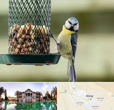 فروشگاه غذای پرندگان در شیراز