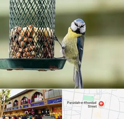 فروشگاه غذای پرندگان در 15 خرداد