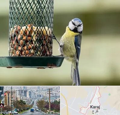 فروشگاه غذای پرندگان در گوهردشت کرج