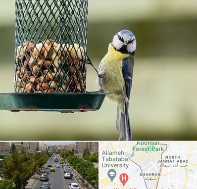 فروشگاه غذای پرندگان در شهران