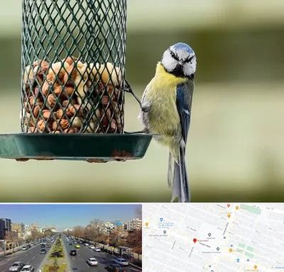 فروشگاه غذای پرندگان در بلوار معلم مشهد