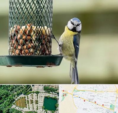 فروشگاه غذای پرندگان در وکیل آباد مشهد