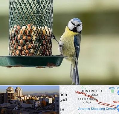 فروشگاه غذای پرندگان در فرمانیه