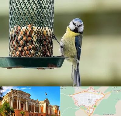 فروشگاه غذای پرندگان در خوی