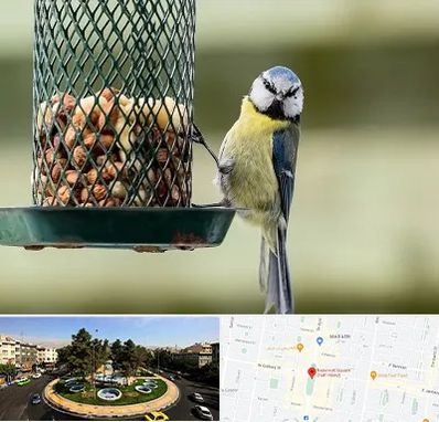 فروشگاه غذای پرندگان در هفت حوض