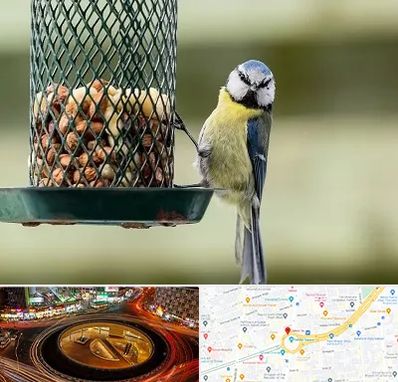 فروشگاه غذای پرندگان در میدان ولیعصر