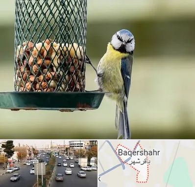 فروشگاه غذای پرندگان در باقرشهر