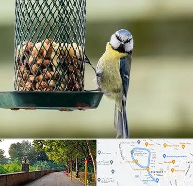 فروشگاه غذای پرندگان در بلوار گیلان رشت