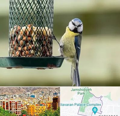 فروشگاه غذای پرندگان در نیاوران