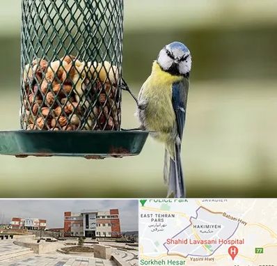 فروشگاه غذای پرندگان در حکیمیه
