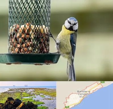 فروشگاه غذای پرندگان در بندرلنگه