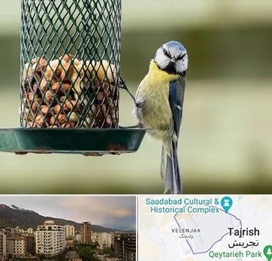 فروشگاه غذای پرندگان در زعفرانیه