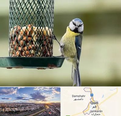 فروشگاه غذای پرندگان در قم