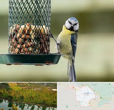 فروشگاه غذای پرندگان در بهبهان