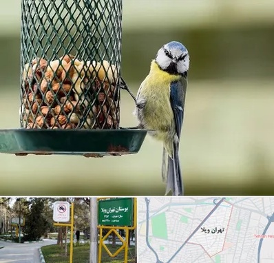 فروشگاه غذای پرندگان در تهران ویلا