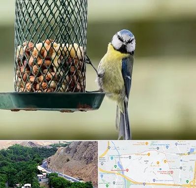 فروشگاه غذای پرندگان در کن