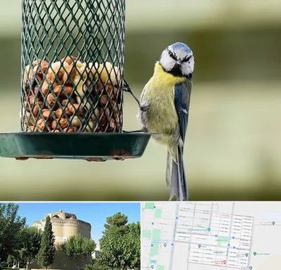 فروشگاه غذای پرندگان در مرداویج اصفهان