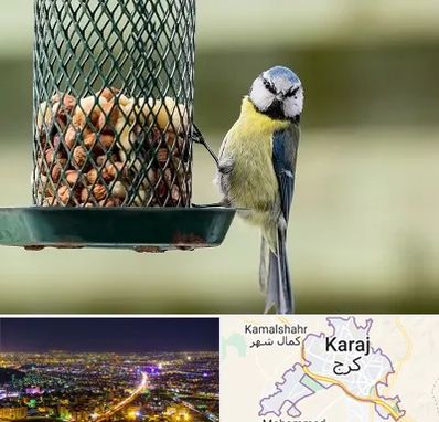 فروشگاه غذای پرندگان در کرج