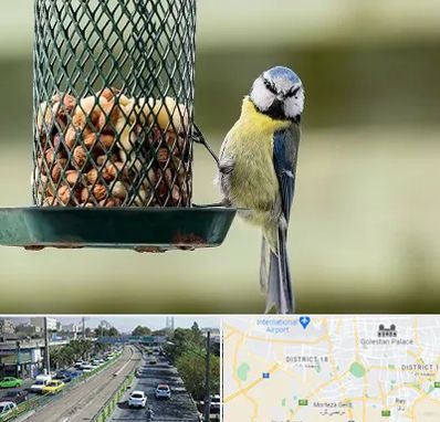 فروشگاه غذای پرندگان در جنوب تهران