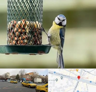 فروشگاه غذای پرندگان در شهناز تبریز