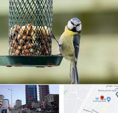 فروشگاه غذای پرندگان در چهارراه طالقانی کرج