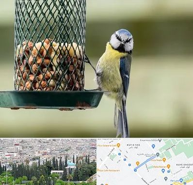 فروشگاه غذای پرندگان در محلاتی شیراز