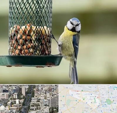 فروشگاه غذای پرندگان در منطقه 18 تهران