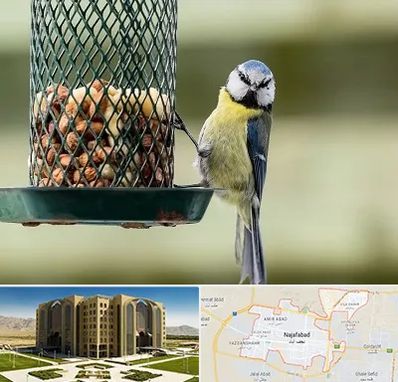 فروشگاه غذای پرندگان در نجف آباد