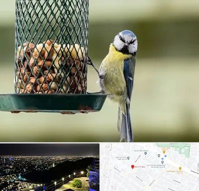 فروشگاه غذای پرندگان در هفت تیر مشهد