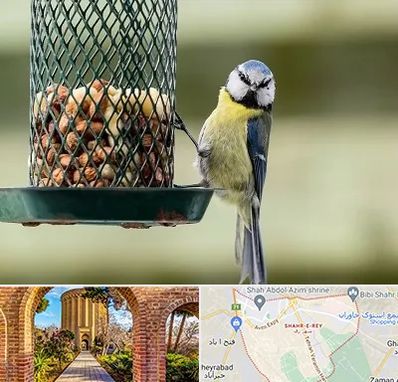 فروشگاه غذای پرندگان در شهر ری