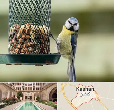 فروشگاه غذای پرندگان در کاشان