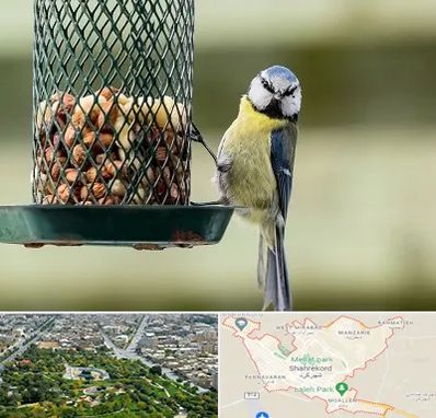فروشگاه غذای پرندگان در شهرکرد