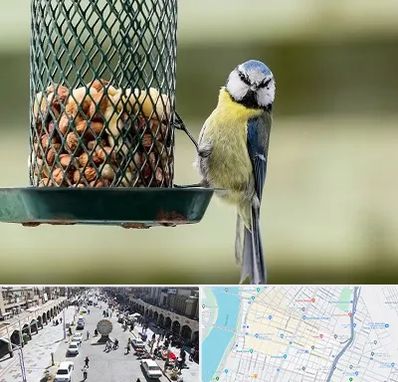 فروشگاه غذای پرندگان در نادری اهواز