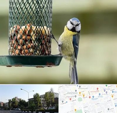 فروشگاه غذای پرندگان در میدان کاج