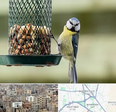 فروشگاه غذای پرندگان در جنوب شرق تهران