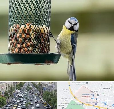 فروشگاه غذای پرندگان در گلشهر کرج