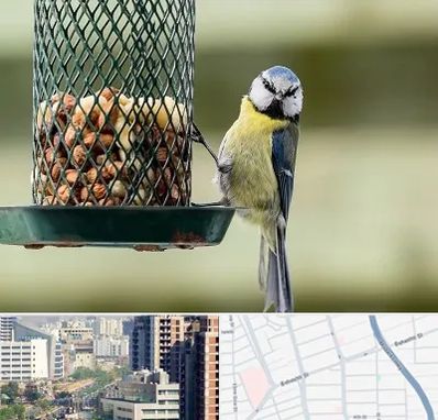 فروشگاه غذای پرندگان در خیابان بهشتی